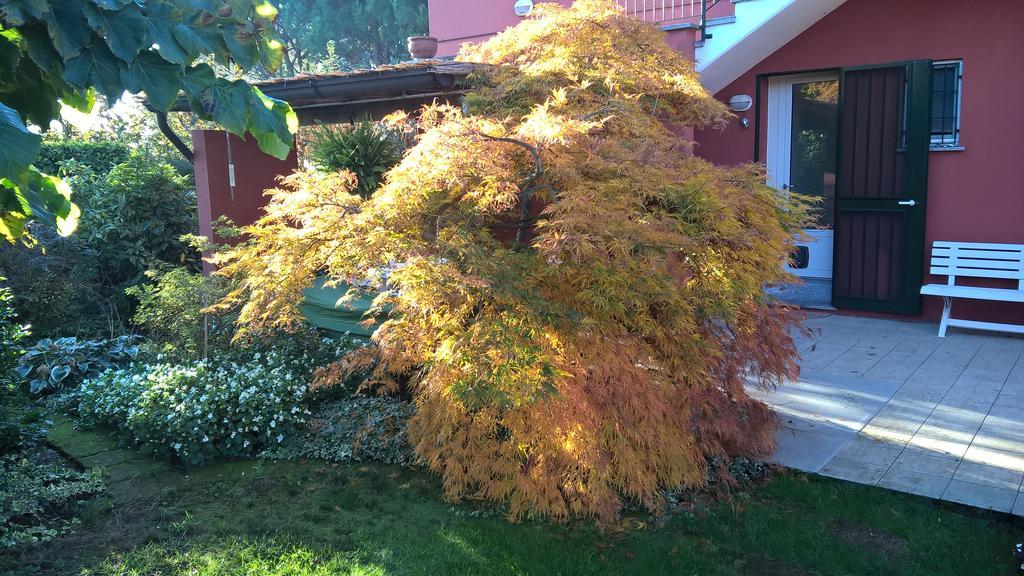 La Collina Since 2008 No Smoking B&B Varese Zewnętrze zdjęcie